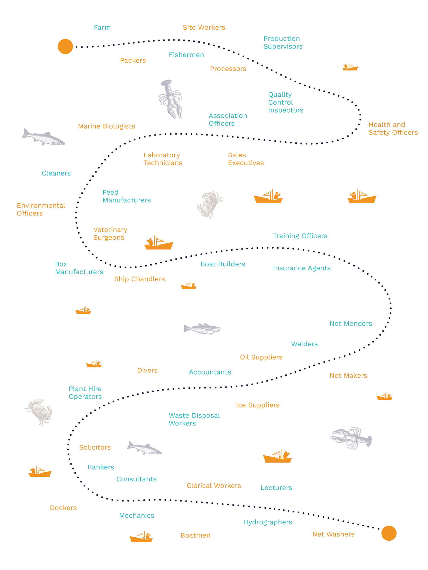 A graphic indicating the fish to sea journey