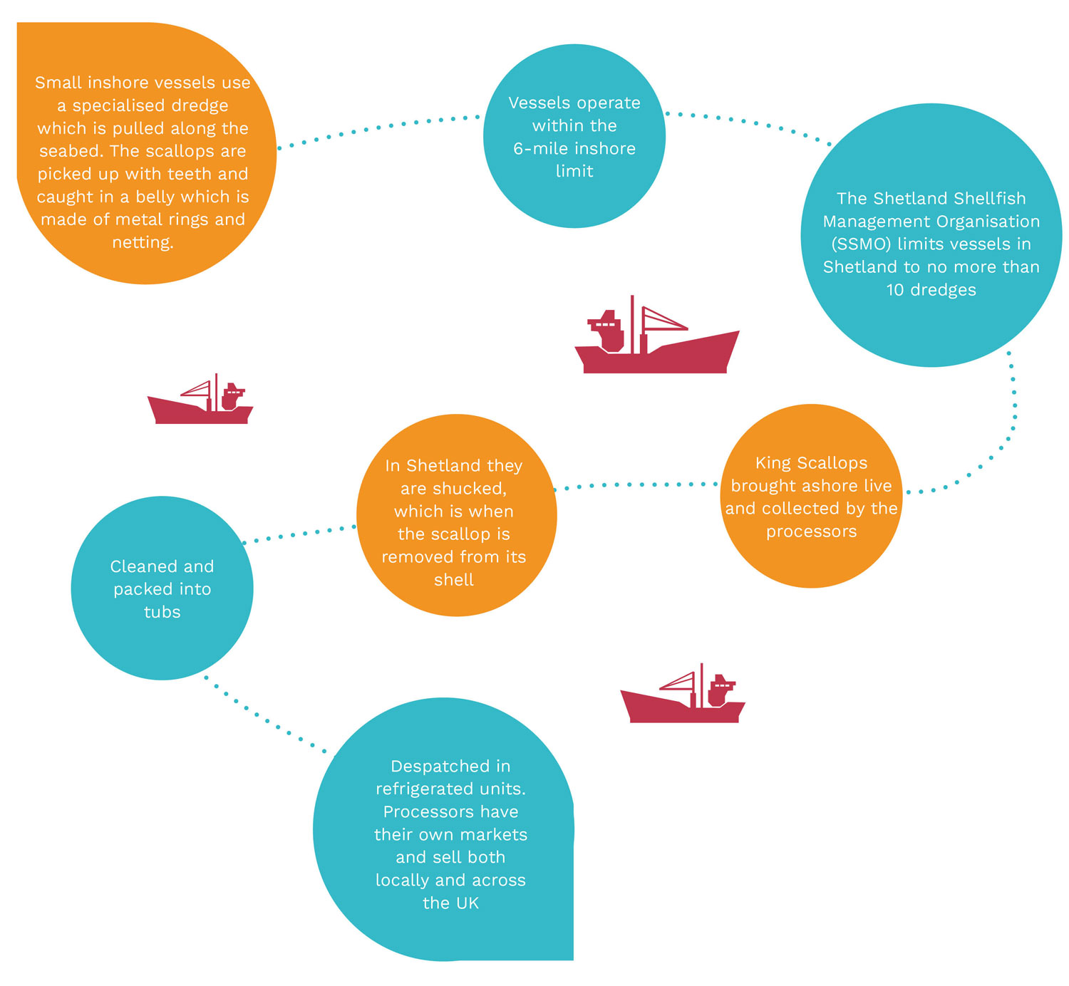 Graphic indicating the scallop journey, from sea to plate