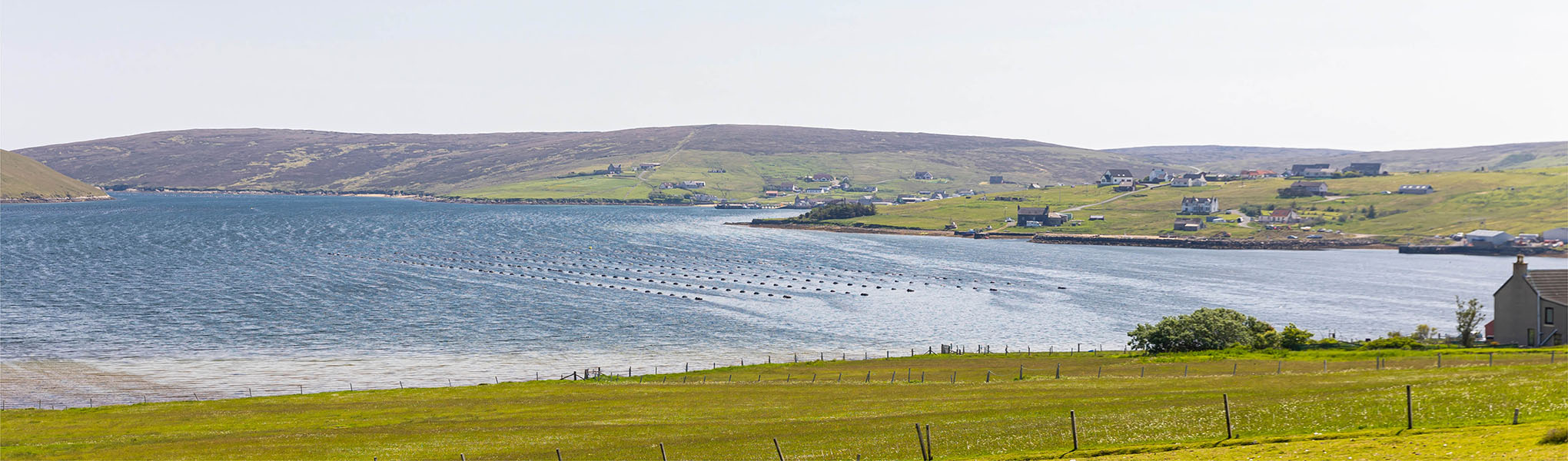 Panoramic shot of Shetland mussel farms