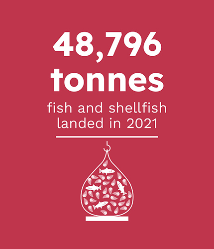 Graphic that states that 48,796 tonnes of fish and shellfish were landed in 2021