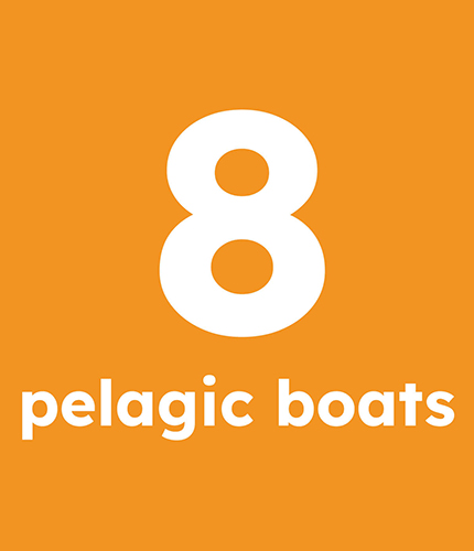 Graphic that states that Shetland has 8 pelagic boats