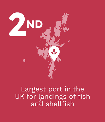 Graphic that states that Shetland is the largest port in the UK for landings of fish and shellfish