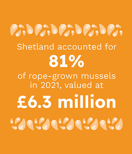 Graphic that states that Shetland accounted for 81% of rope-grown mussels in 2021, valued at £6.3 million