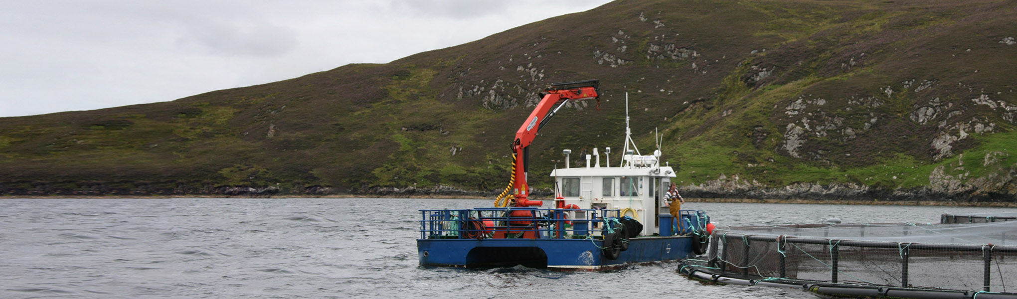 Salmon workboat operating in Shetland